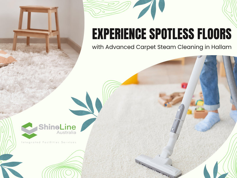 Experience Spotless Floors with Carpet Steam Cleaning Services in Hallam