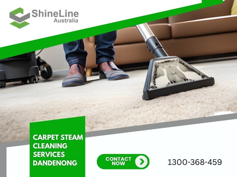 Professional Carpet Steam Cleaning Services Dandenong | Fresh & Hygienic Carpets