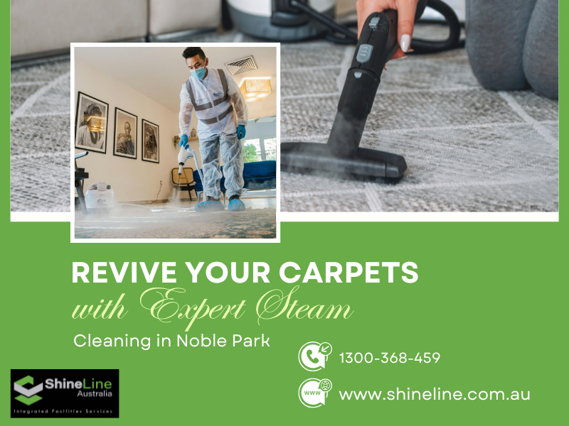 Carpet Steam Cleaning Services in Noble Park