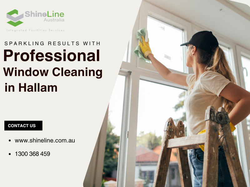 window cleanig hallam