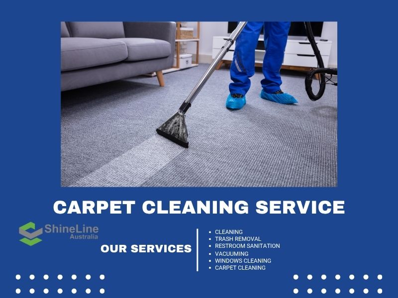 Carpet Steam Cleaning in Dandenong, Melbourne: Why Your Home & Business Needs It